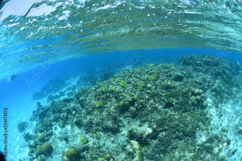 Beautiful underwater scene with clear water © puntel