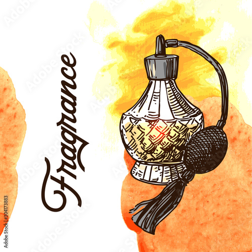 Fragrance bottles vector illustration. Hand drawn sketch style image