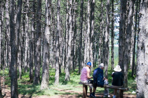 people sit on a bench in the pine forest in zlatibor serbia