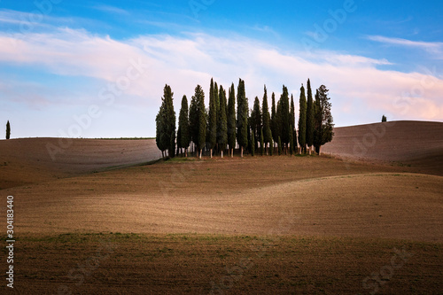 Val d'Orcia - Tuscany landscape with cypress