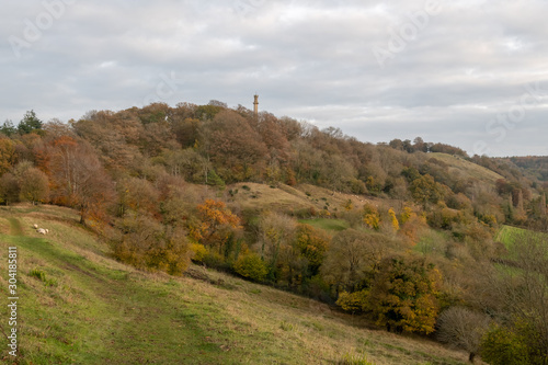 Landscape photo of the Admiral Hood Monument near Butleigh in Somerset. photo