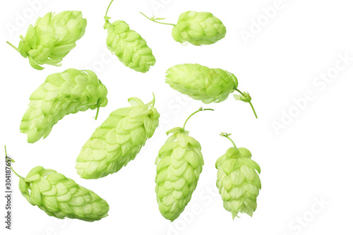 Green hops isolated on a white background. top view