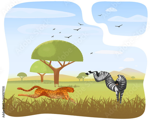 A fast cheetah is chasing (stalks) a zebra across the prairies and plains of Africa. The frightened horse bucked. Predator jumps for prey. african landscape. Wildlife and nature. Vector