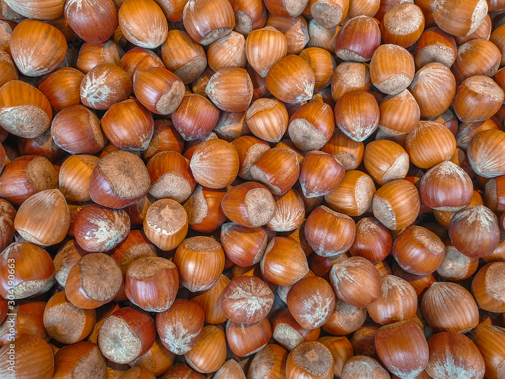 Hazelnuts on a platter. Background of brown nuts. Hazelnuts on a platter. Background of brown nuts.