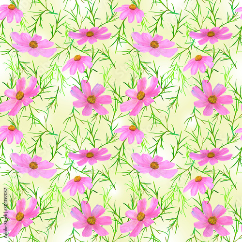 Seamless patern of summer pink flowers Cósmos. Watercolor hand drawn illustrations on a sand background. 