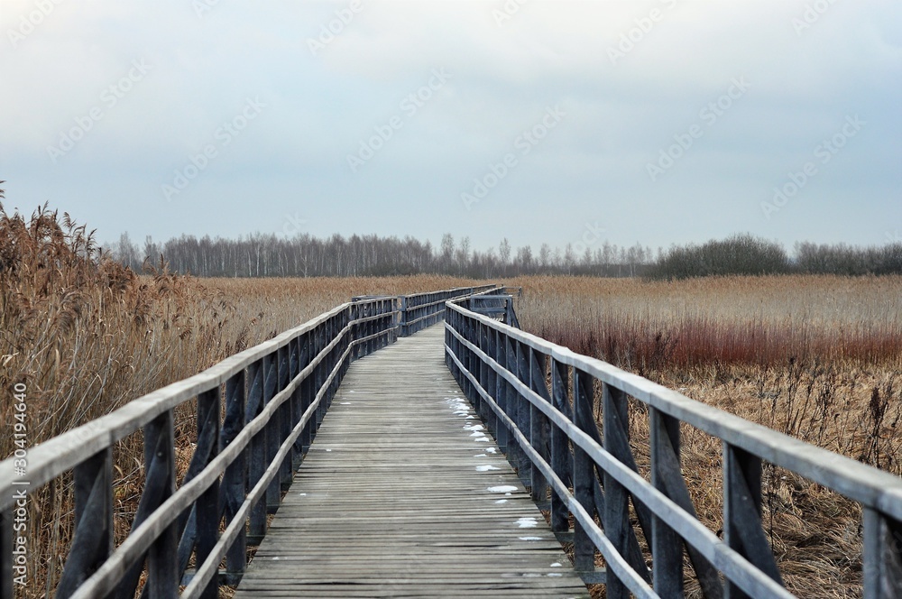 Federsee Bad Buchau Federsee Bad Buchau