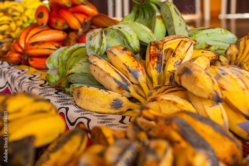 Photography Different types and species of banana