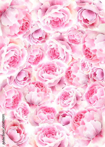 Pink roses background © Lora