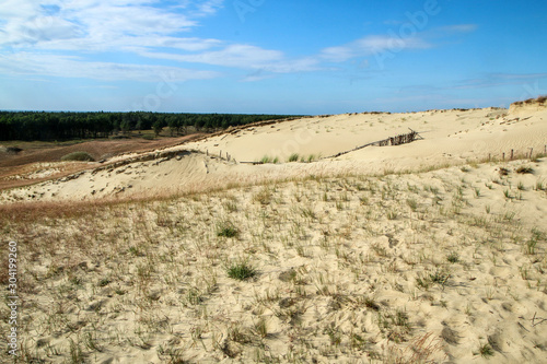 A picture from the Curonian Spit  Kursiu Nerija  National Park in Lithuania. The big sand dunes by the shore during the nice sunny day. 