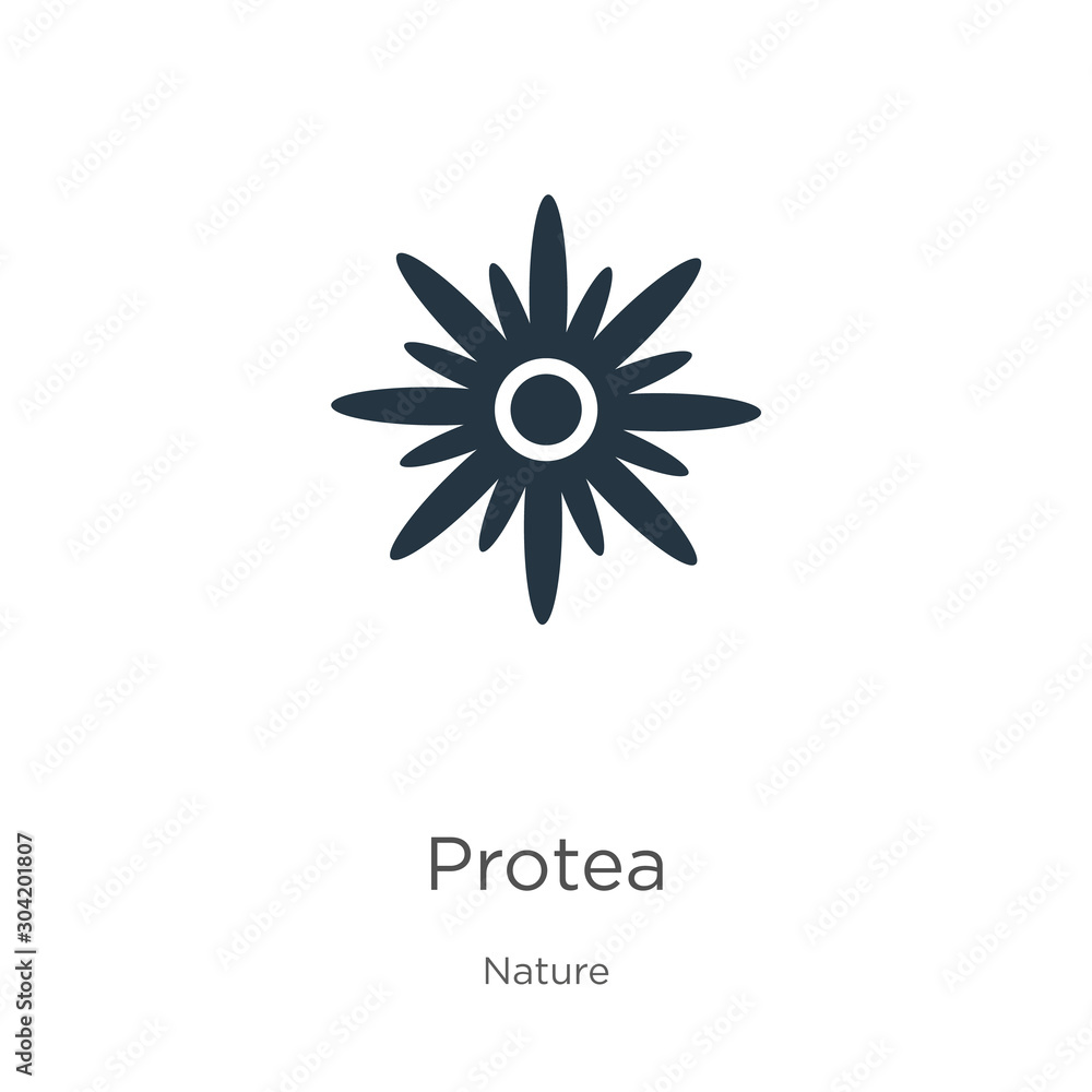 Protea icon vector. Trendy flat protea icon from nature collection isolated on white background. Vector illustration can be used for web and mobile graphic design, logo, eps10