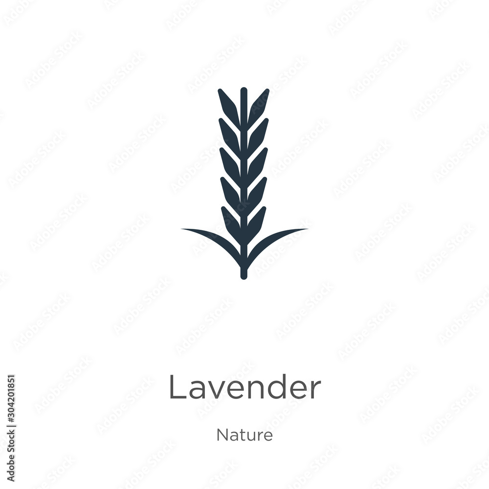 Lavender icon vector. Trendy flat lavender icon from nature collection isolated on white background. Vector illustration can be used for web and mobile graphic design, logo, eps10 Lavender icon vector. Trendy flat lavender icon from nature collection isolated on white background. Vector illustration can be used for web and mobile graphic design, logo, eps10