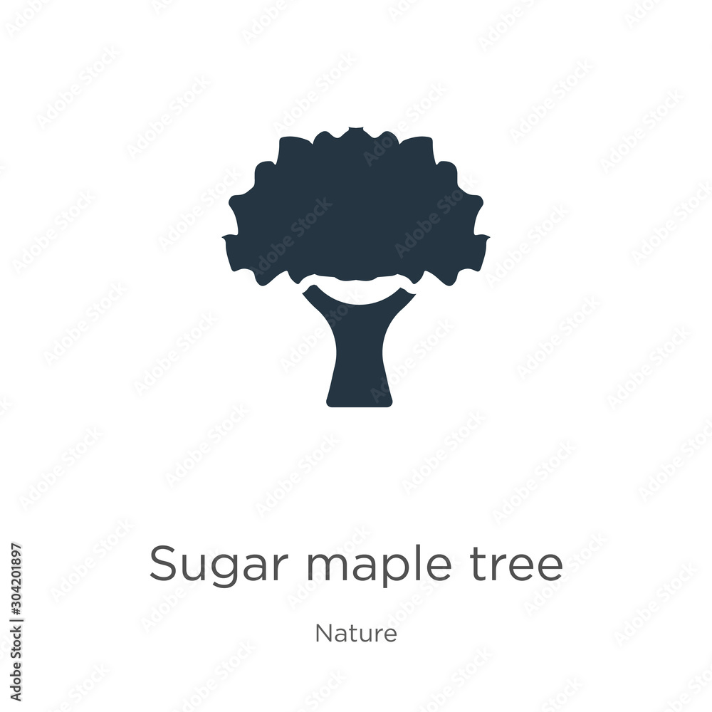 Sugar maple tree icon vector. Trendy flat sugar maple tree icon from nature collection isolated on white background. Vector illustration can be used for web and mobile graphic design, logo, eps10 Sugar maple tree icon vector. Trendy flat sugar maple tree icon from nature collection isolated on white background. Vector illustration can be used for web and mobile graphic design, logo, eps10