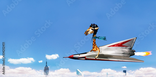 Giraffe flying fast on the jet plane over city
