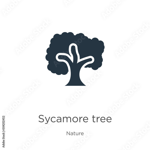Sycamore tree icon vector. Trendy flat sycamore tree icon from nature collection isolated on white background. Vector illustration can be used for web and mobile graphic design, logo, eps10