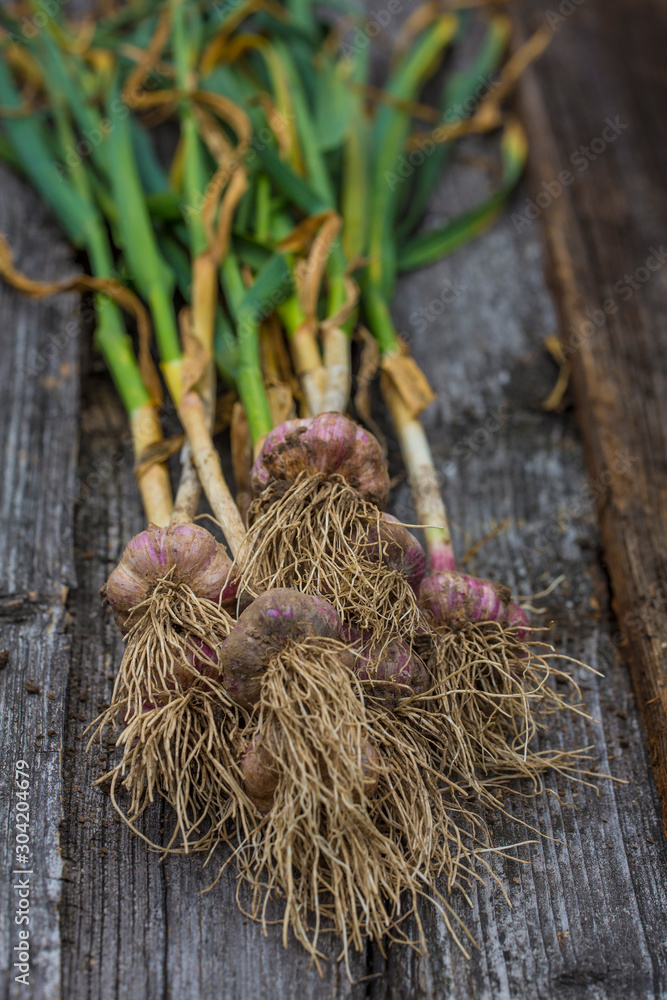 Naklejka premium Fresh garlic on wooden background.