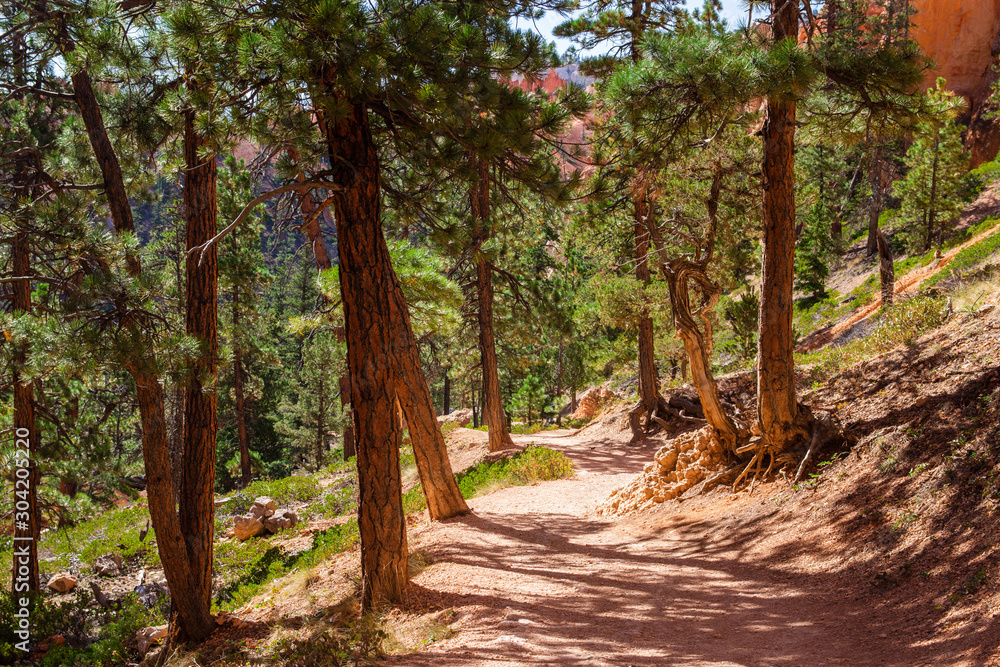 Bryce Canyon National Park at Navajo Loop Trail, Utah, USA Bryce Canyon National Park at Navajo Loop Trail, Utah, USA