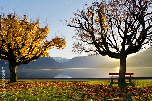 autumn landscape  photo