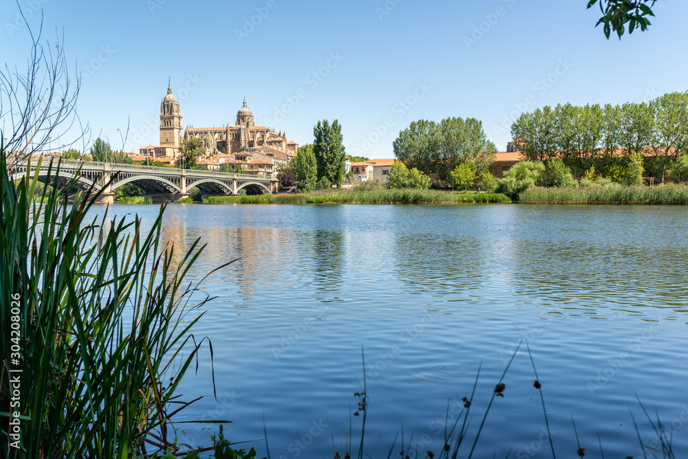 View of Salamanca Cathedral behind Enrique Esteven bridge  from Tormes river bank in Spain. 