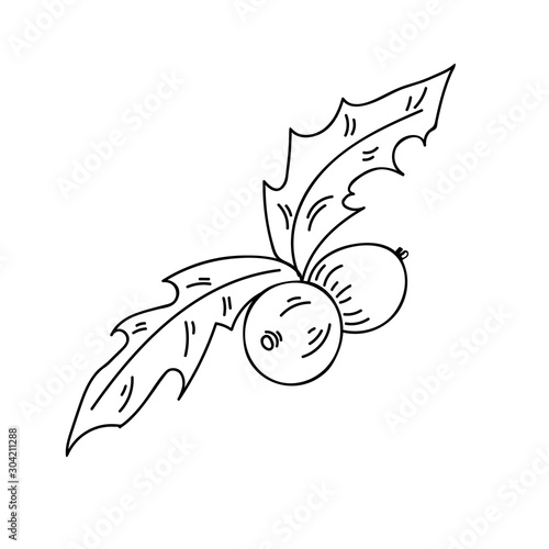 Vector mistletoe drawing. Isolated drawing on a white background. The image can be used for websites, web design, postcards, ladders, wallpapers, prints, print on fabric, shop windows, cafes.