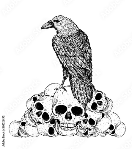 Black raven sits on the skulls. Skull and raven hand drawn illustration. Tattoo vintage print. Skull hand drawn print. Tattoo design. Pile of skulls and raven.