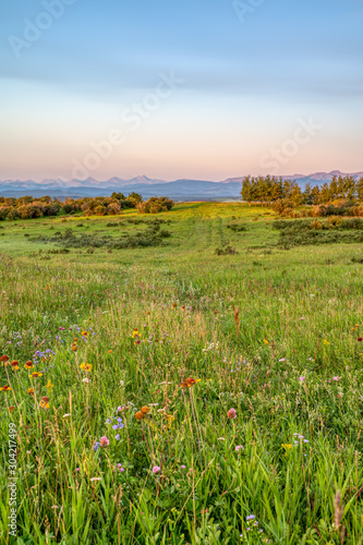 Country Scenes from Southern Alberta
