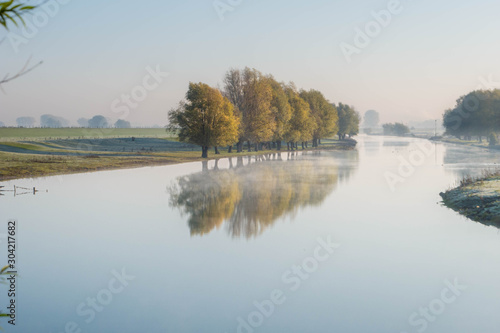 Group of colorful trees with reflection on mirror-like water