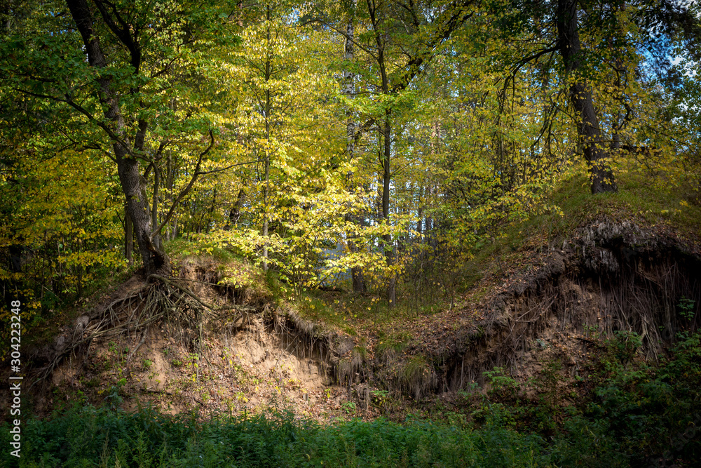 Fototapeta premium Trees on the edge of a landslide, beautiful view