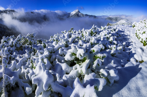 Giewont nad chmurami, zima - Tatry