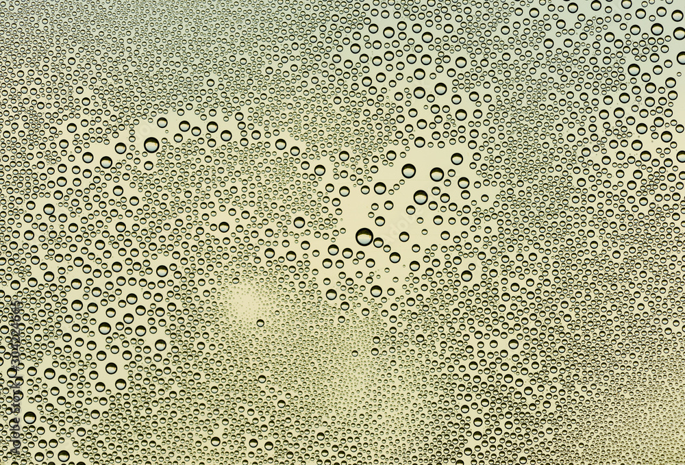 Drops of water on macro glass Drops of water on macro glass