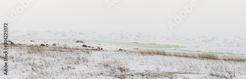 Tundra landscape panorama on Hudson Bay
