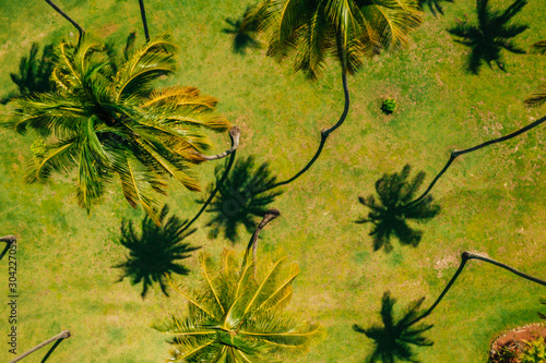 Pigeon Point, Tobago, Trinidad and Tobago, Caribbean, West Indies, small beach in Trinidad and Tobago with an amazing lagoon, aerial panorama view. photo