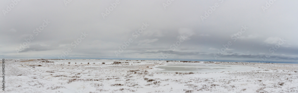 Panorama of frozen tundra - obrazy, fototapety, plakaty 