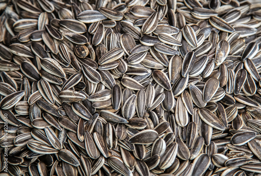 hip dried sunflower black seed bio hip dried sunflower black seed bio