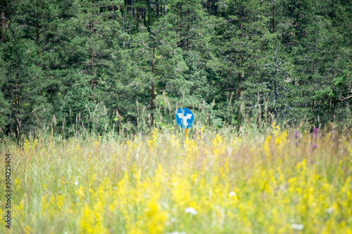 trees, field of wild flowers and sign for left and right turn on a ski track