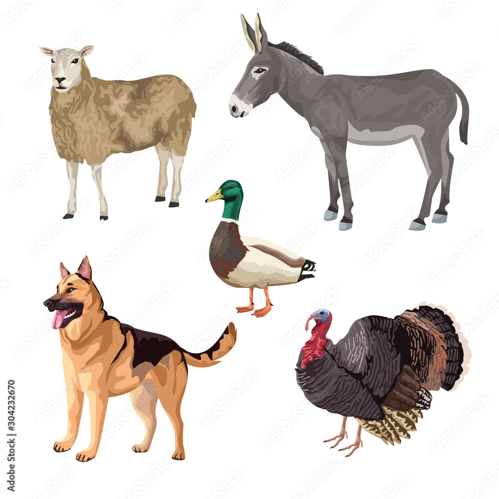Fototapeta premium group of animals farm characters