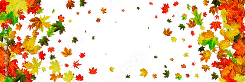 Autumn leaf pattern. Season falling leaves background. Thanksgiving concept