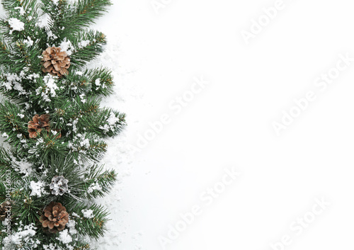 Beautiful Christmas tree branches with snow and cones on white background