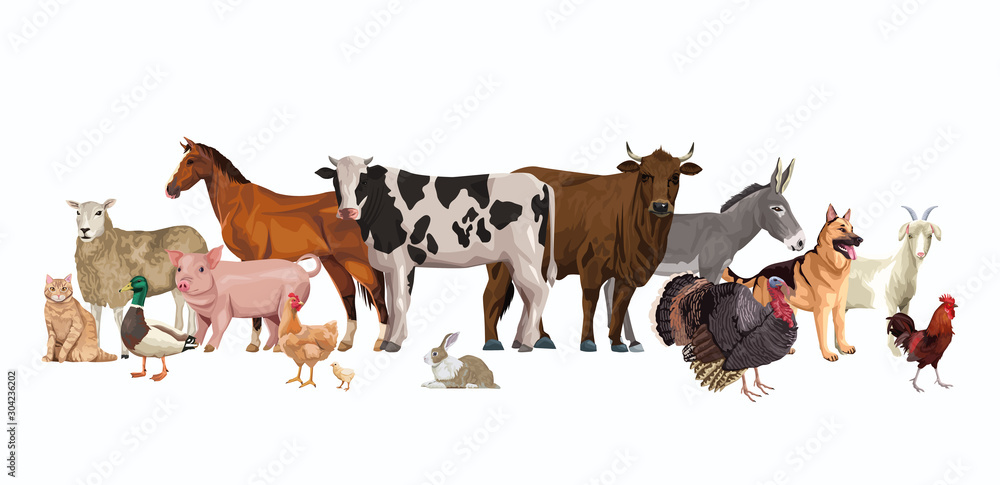 Fototapeta group of animals farm characters