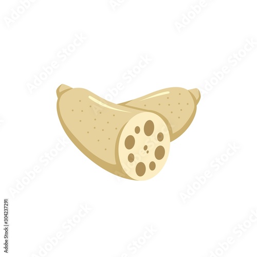 Lotus root icon vector. Illustration of lotus root isolated on white background