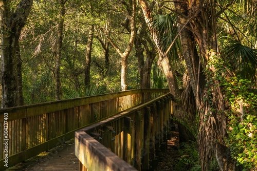 Much of the natural and man-made beauty you will see as you walk the trails of Sawgrass Lake Park. photo