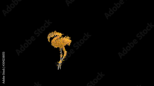 Growing Tree in a shape of a flamingo. Eco Concept. 3D rendering.