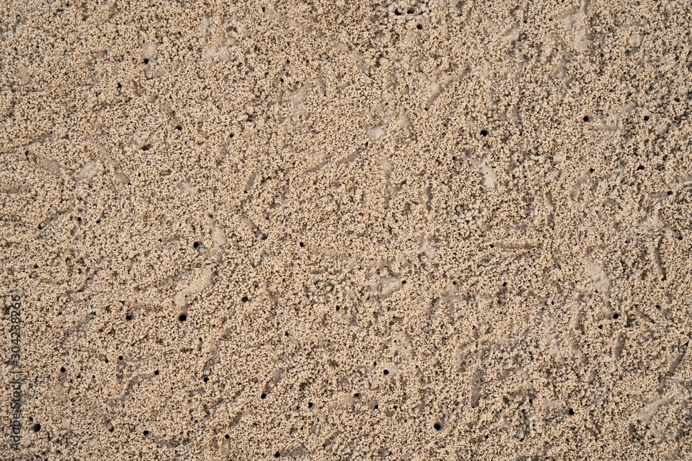 Top view of Soldier Crab on the beach making countless of sand balls. Top view of Soldier Crab on the beach making countless of sand balls.