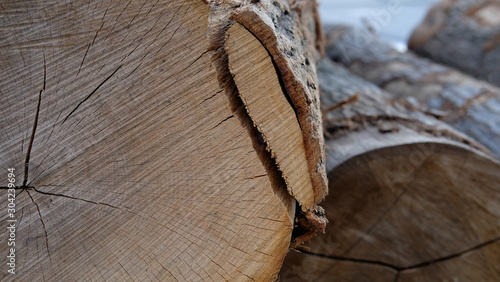 Closeup of wooden logs that allows to see the heart the wood and bark of the tree