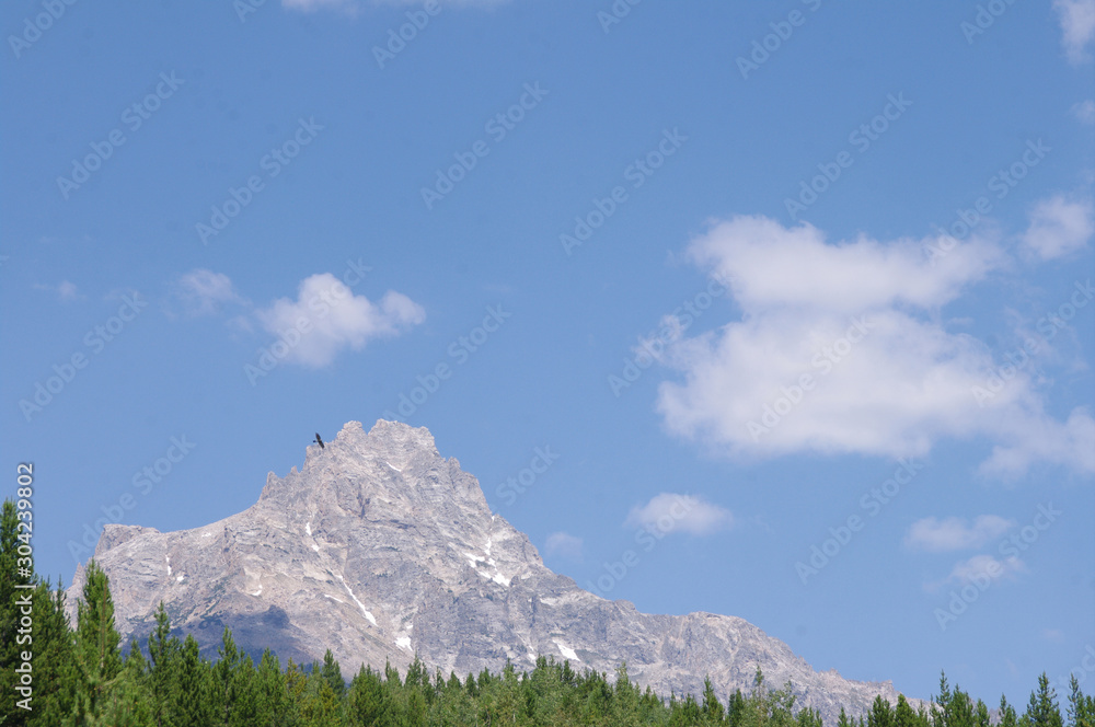 Teton mountains and blue sky