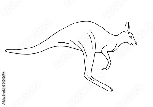 Vector hand drawn sketch doodle kangaroo isolated on white background