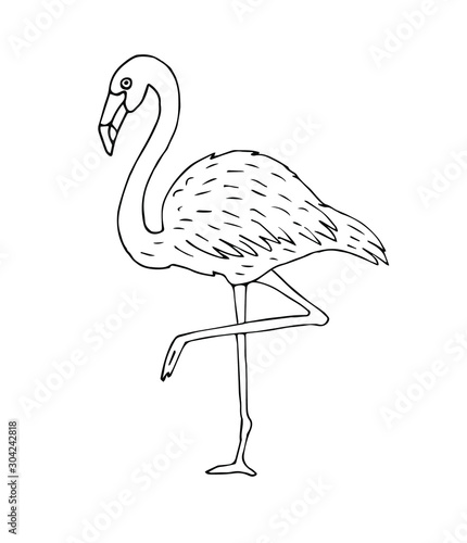 Vector hand drawn sketch doodle flamingo isolated on white background