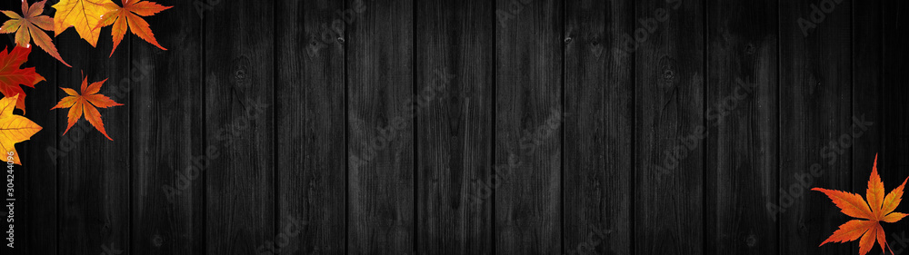 Fototapeta premium autumn – frame of colorful leaves isolated on black rustic wooden texture – background panorama banner long