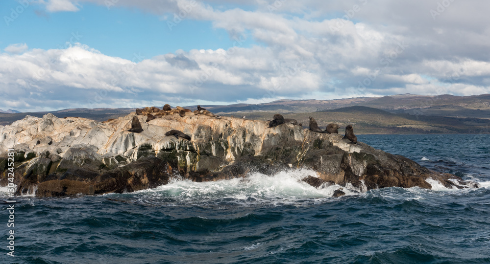 Tiny island full of sea lions on the Beagle Channel, Tierra del Fuego, Argentina