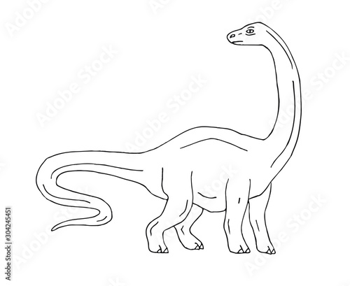 Vector hand drawn sketch diplodocus brachiosaurus dinosaur isolated on white background
