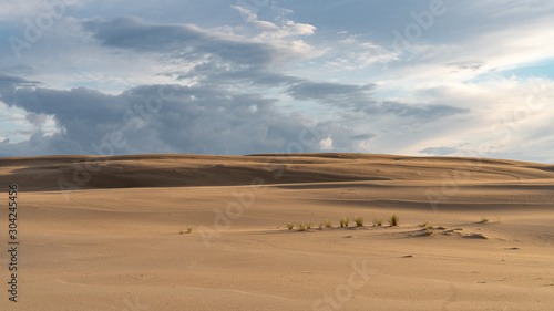 Sand dunes near   eba  Poland in the summer